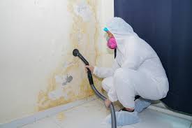 Best Emergency Mold Remediation  in Wilton Center, CT